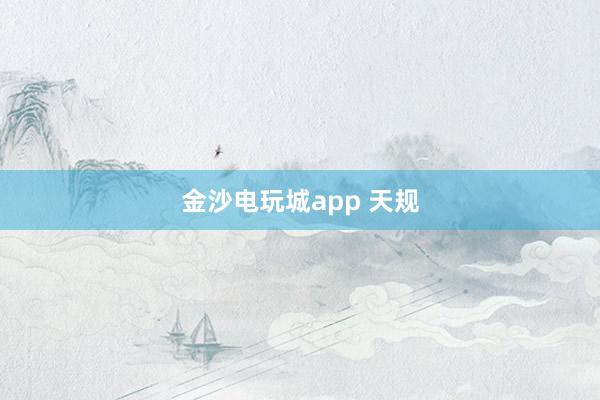 金沙电玩城app 天规