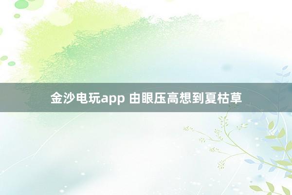 金沙电玩app 由眼压高想到夏枯草