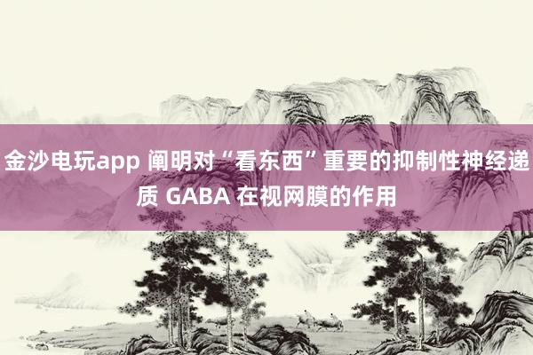 金沙电玩app 阐明对“看东西”重要的抑制性神经递质 GABA 在视网膜的作用