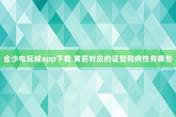 金沙电玩城app下载 黄苔对应的证型和病性有哪些