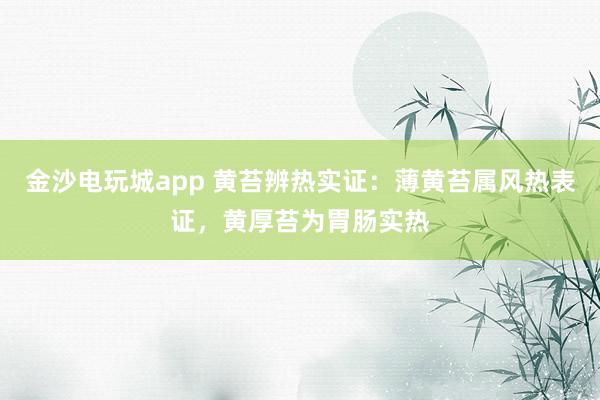 金沙电玩城app 黄苔辨热实证：薄黄苔属风热表证，黄厚苔为胃肠实热