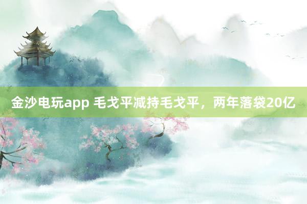 金沙电玩app 毛戈平减持毛戈平，两年落袋20亿