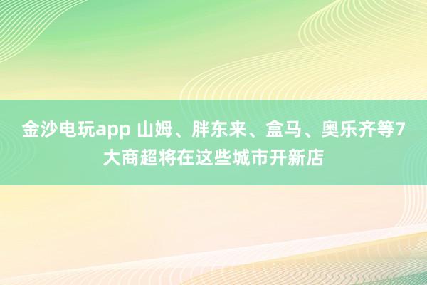 金沙电玩app 山姆、胖东来、盒马、奥乐齐等7大商超将在这些城市开新店