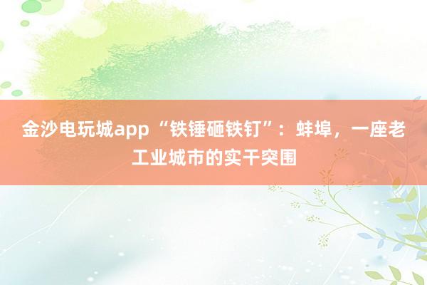 金沙电玩城app “铁锤砸铁钉”：蚌埠，一座老工业城市的实干突围