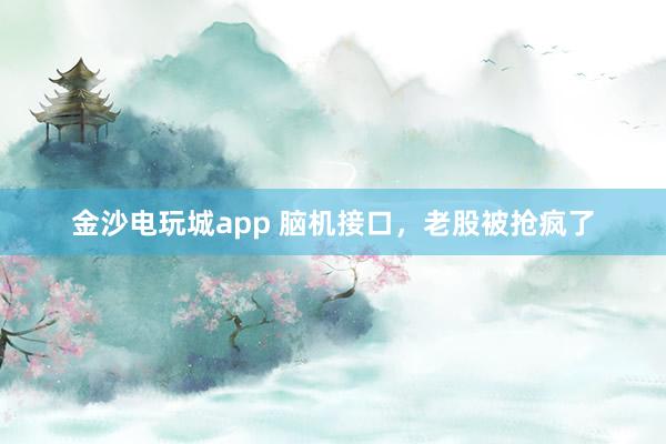 金沙电玩城app 脑机接口，老股被抢疯了