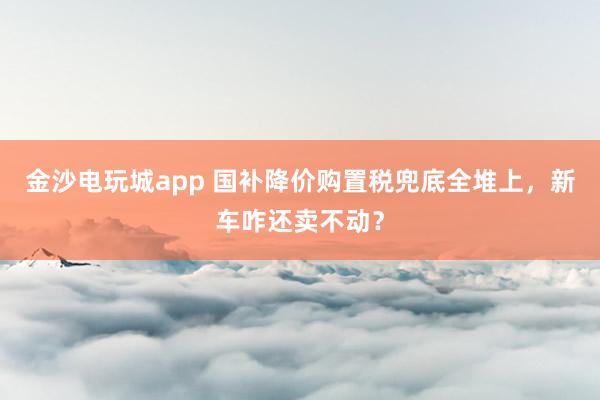 金沙电玩城app 国补降价购置税兜底全堆上，新车咋还卖不动？
