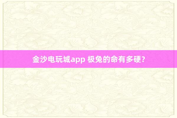 金沙电玩城app 极兔的命有多硬？