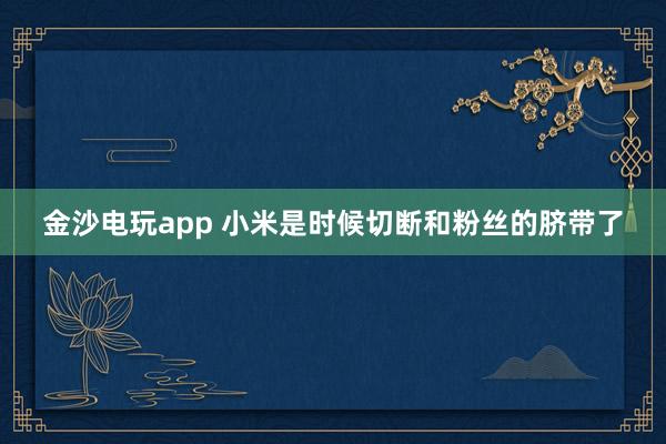 金沙电玩app 小米是时候切断和粉丝的脐带了