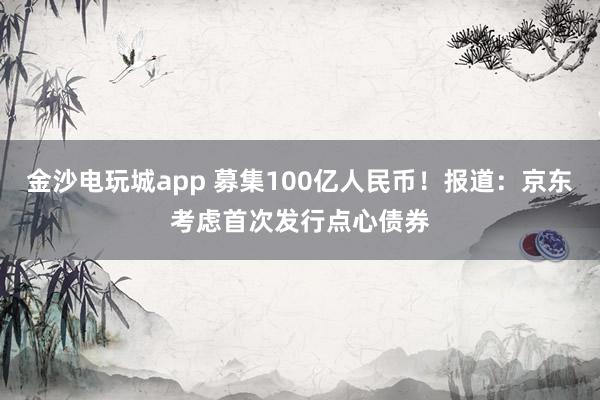 金沙电玩城app 募集100亿人民币！报道：京东考虑首次发行点心债券