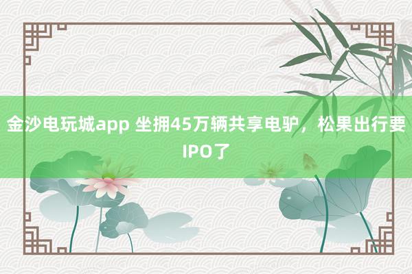 金沙电玩城app 坐拥45万辆共享电驴，松果出行要IPO了