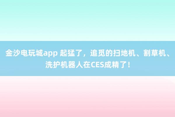 金沙电玩城app 起猛了，追觅的扫地机、割草机、洗护机器人在CES成精了！