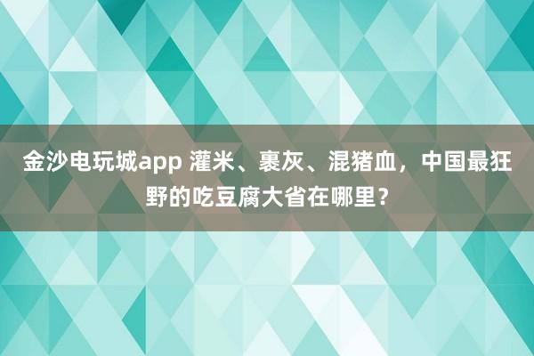 金沙电玩城app 灌米、裹灰、混猪血，中国最狂野的吃豆腐大省在哪里？