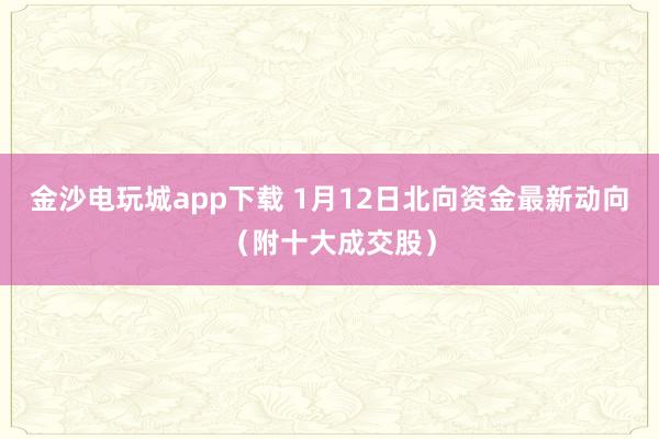 金沙电玩城app下载 1月12日北向资金最新动向（附十大成交股）