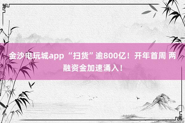 金沙电玩城app “扫货”逾800亿！开年首周 两融资金加速涌入！