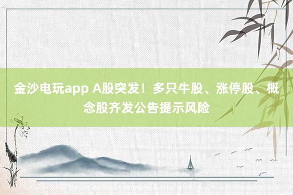 金沙电玩app A股突发！多只牛股、涨停股、概念股齐发公告提示风险