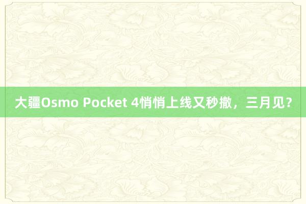 大疆Osmo Pocket 4悄悄上线又秒撤，三月见？