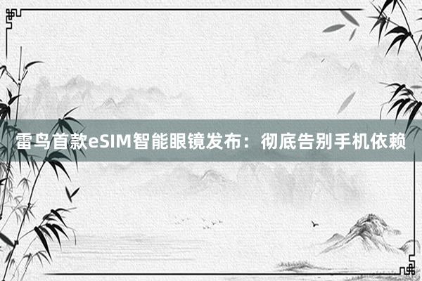 雷鸟首款eSIM智能眼镜发布：彻底告别手机依赖