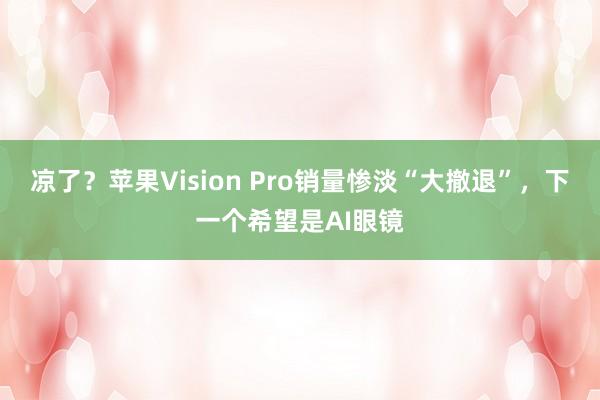 凉了？苹果Vision Pro销量惨淡“大撤退”，下一个希望是AI眼镜