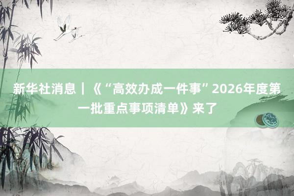 新华社消息｜《“高效办成一件事”2026年度第一批重点事项清单》来了