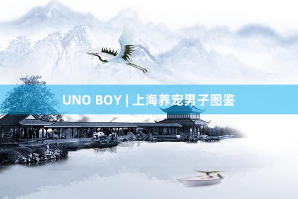 UNO BOY | 上海养宠男子图鉴