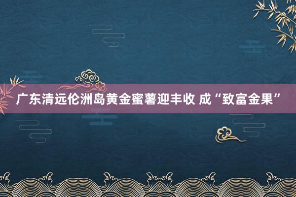 广东清远伦洲岛黄金蜜薯迎丰收 成“致富金果”