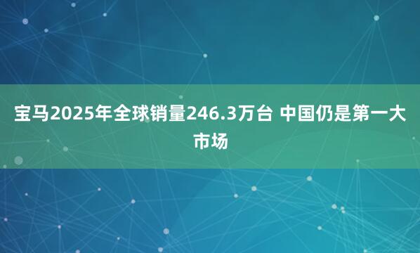 宝马2025年全球销量246.3万台 中国仍是第一大市场