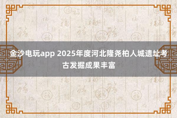 金沙电玩app 2025年度河北隆尧柏人城遗址考古发掘成果丰富