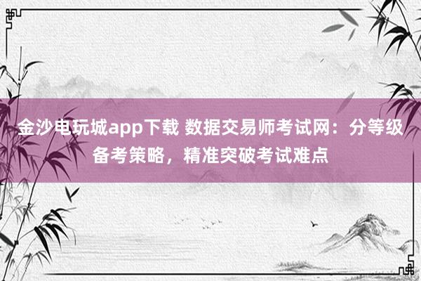 金沙电玩城app下载 数据交易师考试网：分等级备考策略，精准突破考试难点
