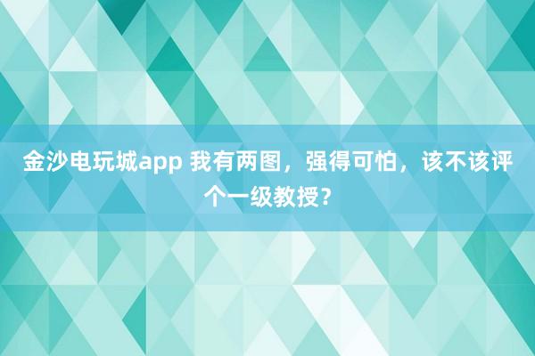 金沙电玩城app 我有两图，强得可怕，该不该评个一级教授？