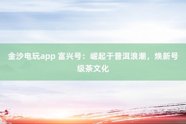 金沙电玩app 富兴号:崛起于普洱浪潮,焕新号级茶文化