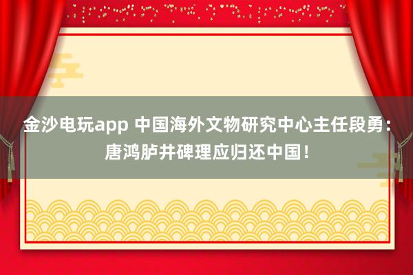 金沙电玩app 中国海外文物研究中心主任段勇:唐鸿胪井碑理应归还中国!