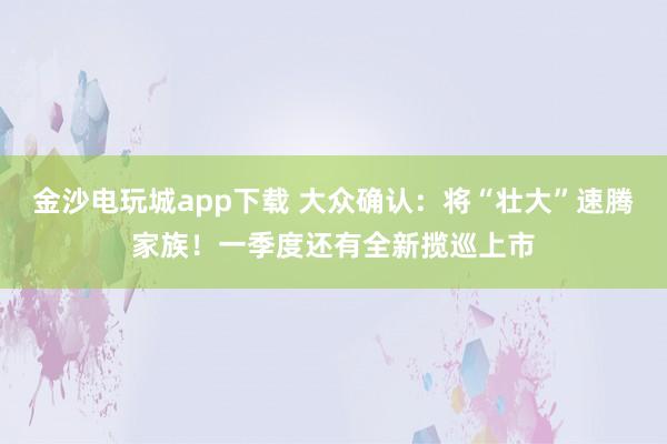 金沙电玩城app下载 大众确认：将“壮大”速腾家族！一季度还有全新揽巡上市