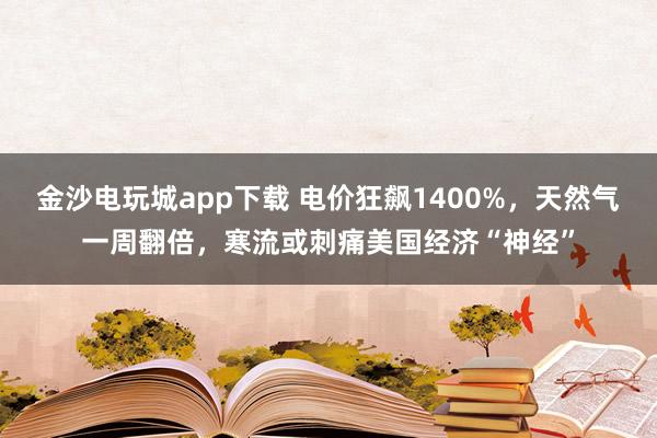 金沙电玩城app下载 电价狂飙1400%,天然气一周翻倍,寒流或刺痛美国经济“神经”