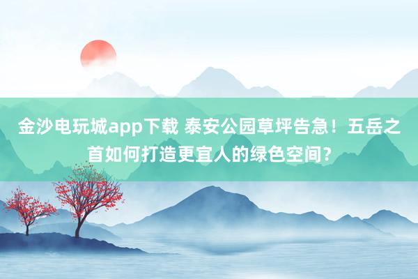 金沙电玩城app下载 泰安公园草坪告急！五岳之首如何打造更宜人的绿色空间？