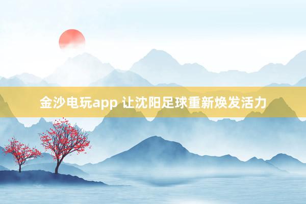 金沙电玩app 让沈阳足球重新焕发活力