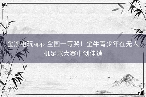 金沙电玩app 全国一等奖！金牛青少年在无人机足球大赛中创佳绩