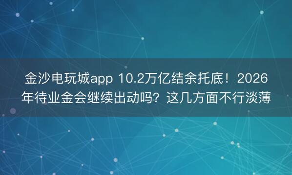 金沙电玩城app 10.2万亿结余托底!2026年待业金会继续出动吗?这几方面不行淡薄