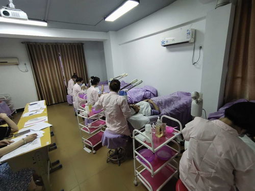 2020年江西首次职业技能鉴定在丽人美容艺术学院圆满举行，推动美容行业专业发展