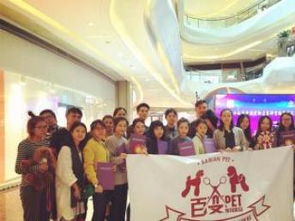 福田优质宠物美容师培训学校 十年教学品质，成就专业人才