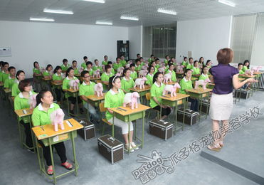 到派多格宠物美容学校 开启前沿专业宠物美容师职业之路