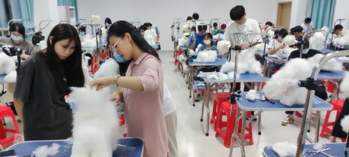 萌宠经济新赛道 年轻人掘金宠物美容培训热